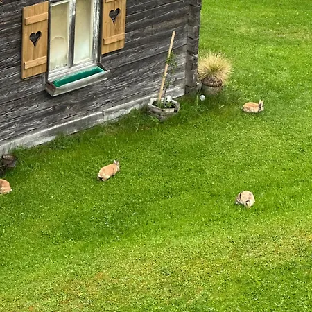 Luxus-apartment-vorderreit Gut Lejlighed Altenmarkt im Pongau